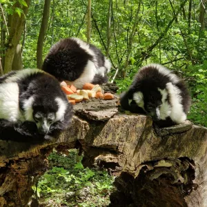 threema 2023 05 16 11 29