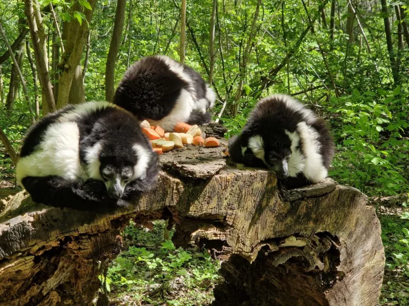 threema 2023 05 16 11 29