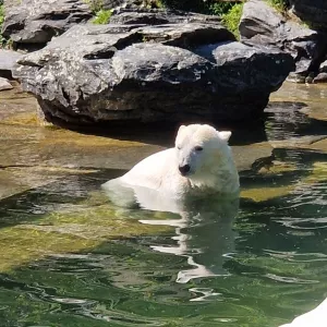 threema 2023 05 16 11 29