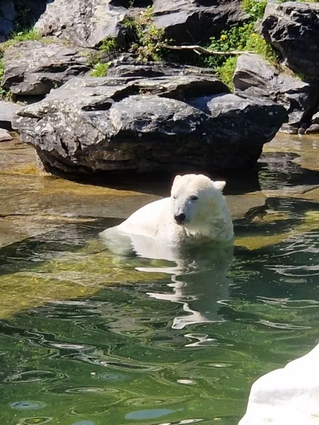 threema 2023 05 16 11 29