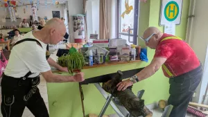 threema 2025 10 09 06 01